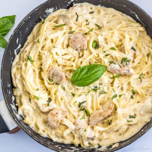 Fettuccine Alfredo